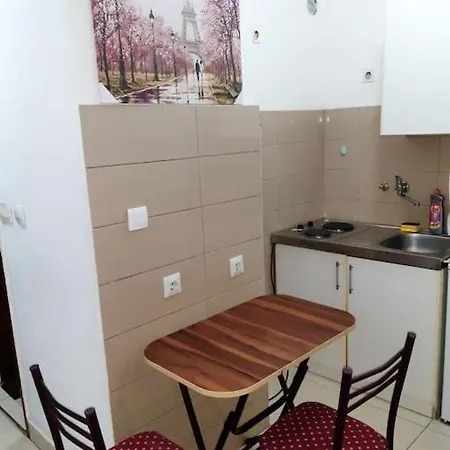 Paris דירה פודגוריצה