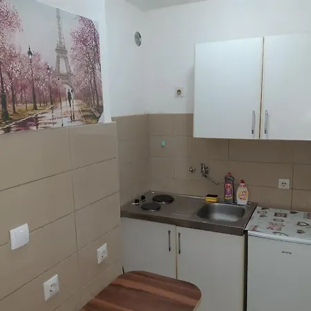 Apartment Paris *
