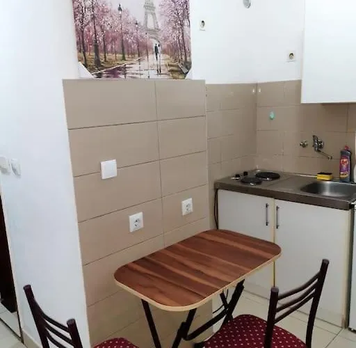 Paris شقة بودغوريتْسا